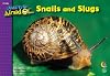 Snails and Slugs, I Used To Be Afraid Of Series
