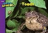 Toads, I Used To Be Afraid Of Series
