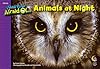 Animals at Night, I Used To Be Afraid Of Series