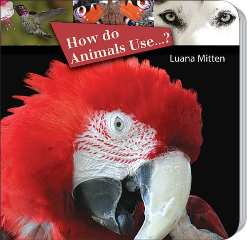 Cover of How Do Animals Use... ? (Board Book)