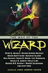 The Way of the Wizard