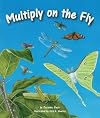 Multiply on the Fly