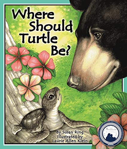 Where Should Turtle Be book cover