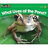 What Lives at the Pond? (Rising Readers: Science, Level B)