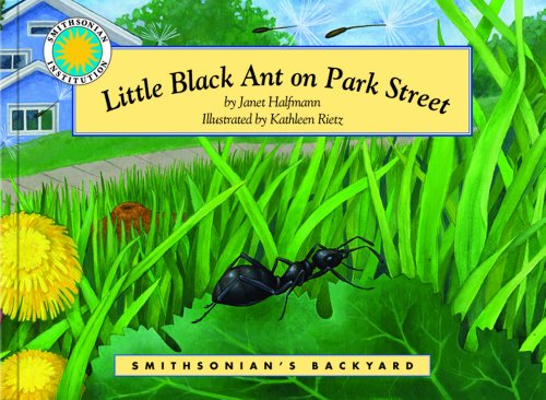 Cover of Little Black Ant on Park Street