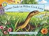 Garter Snake at Willow Creek Lane