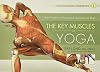 The Key Muscles of Yoga: Scientific Keys, Volume I