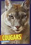 Cougars (Wild Cats)