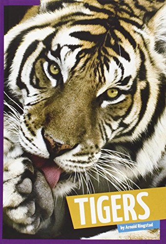 Cover of Tigers