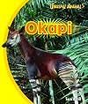 Okapi (Unusual Animals)