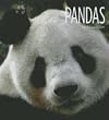 Pandas (Living Wild)
