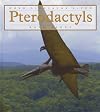 Pterodactyl (When Dinosaurs Lived)