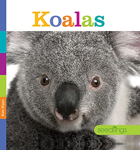 Cover of Koalas