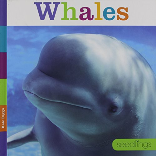 Cover of Whales