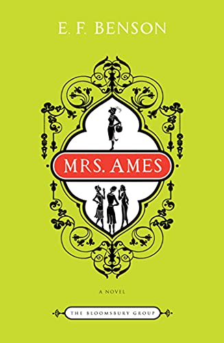 Mrs. Ames book cover