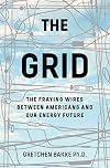 The Grid: The Fraying Wires Between Americans and Our Energy Future
