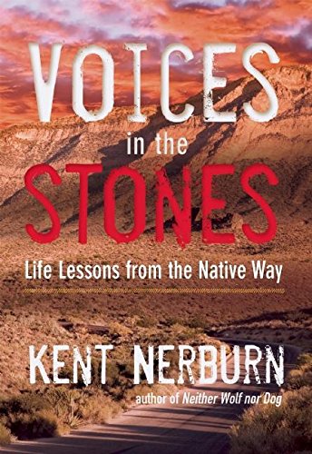 Voices in the Stones cover