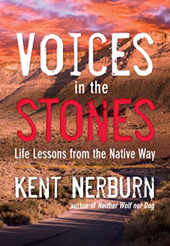 Voices in the Stones book cover