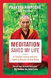 Meditation Saved My Life A Tibetan Lama And The Healing Power Of The Mind