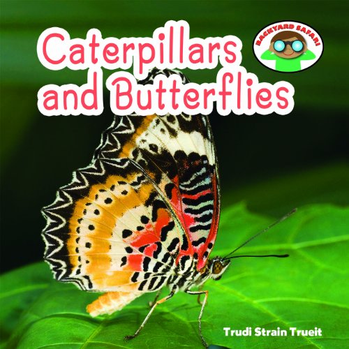 Caterpillars and Butterflies book cover