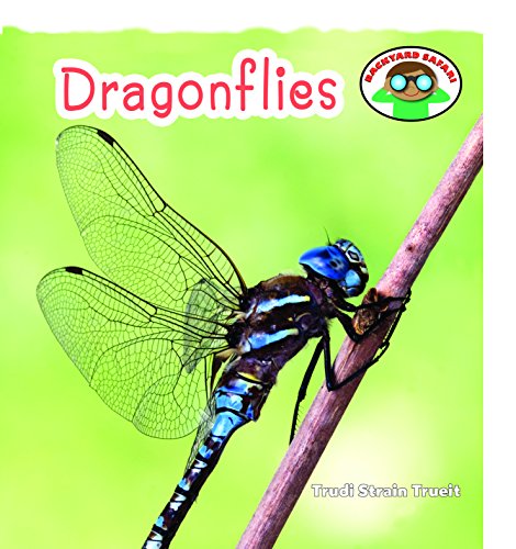 Dragonflies book cover