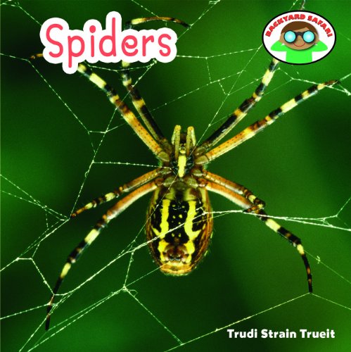 Spiders book cover