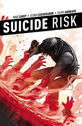 Suicide Risk, Vol. 4 book cover