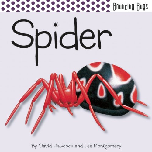 Cover of Spider