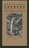 Necessary Courage: Iowa's Underground Railroad in the Struggle against Slavery (Iowa and the Midwest Experience)