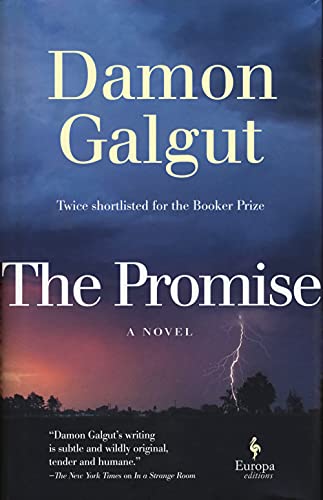 The Promise book cover