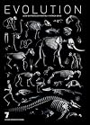 Evolution