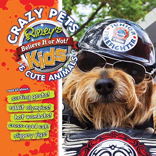 Cover of My Crazy Animal Adventures