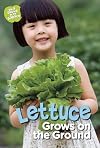 Lettuce Grows on the Ground (What Grows in My Garden)