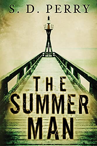 The Summer Man book cover
