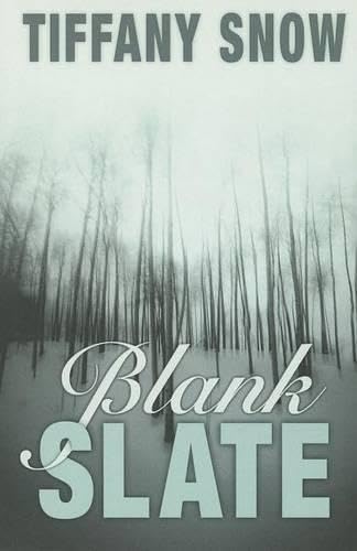 Blank Slate book cover