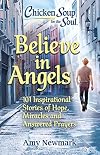 Chicken Soup for the Soul: Believe in Angels: 101 Inspirational Stories of Hope, Miracles and Answered Prayers