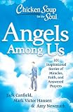 Chicken Soup For The Soul Angels Among Us 101 Inspirational Stories Of Miracles Faith And Answered Prayers