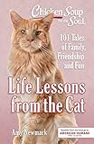 Chicken Soup For The Soul Life Lessons From The Cat 101 Tales Of Family Friendship And Fun