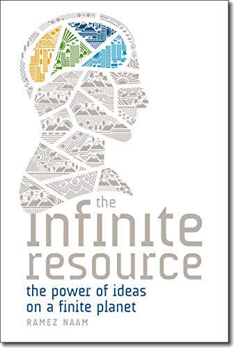 The Infinite Resource book cover