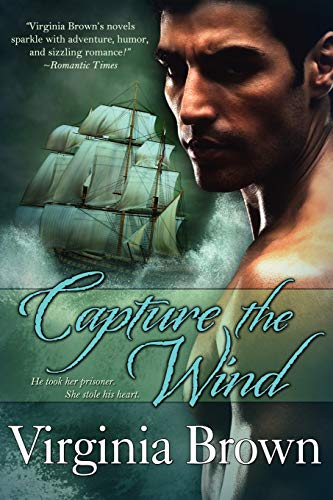 Capture the Wind book cover