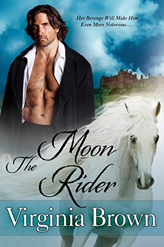 The Moon Rider book cover