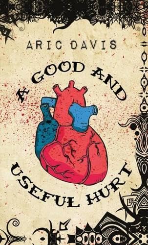 A Good and Useful Hurt book cover