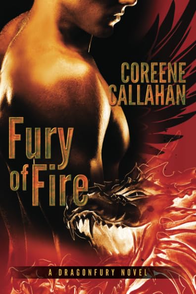 Fury of Fire book cover