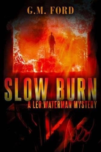 Slow Burn book cover