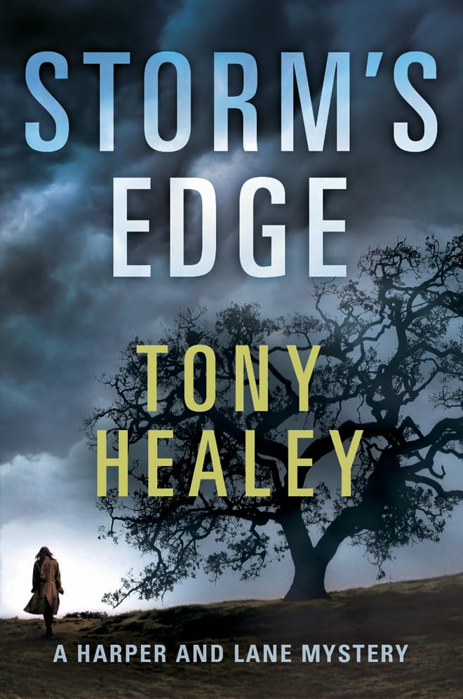 Storm's Edge book cover