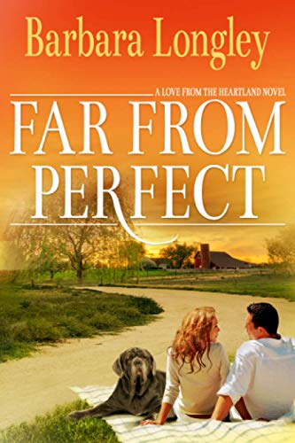 Far from Perfect book cover