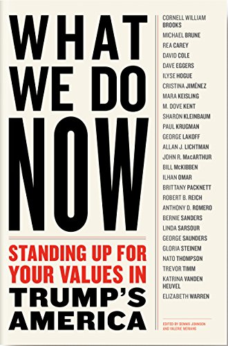 What We Do Now: Standing Up For Your Values in Trump's America book cover