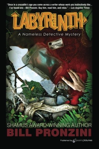 Labyrinth book cover