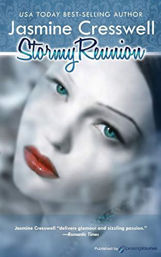 Stormy Reunion book cover