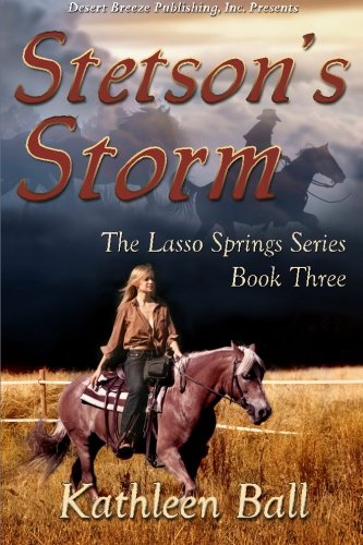 Stetson's Storm book cover